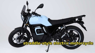Electric motorcycle